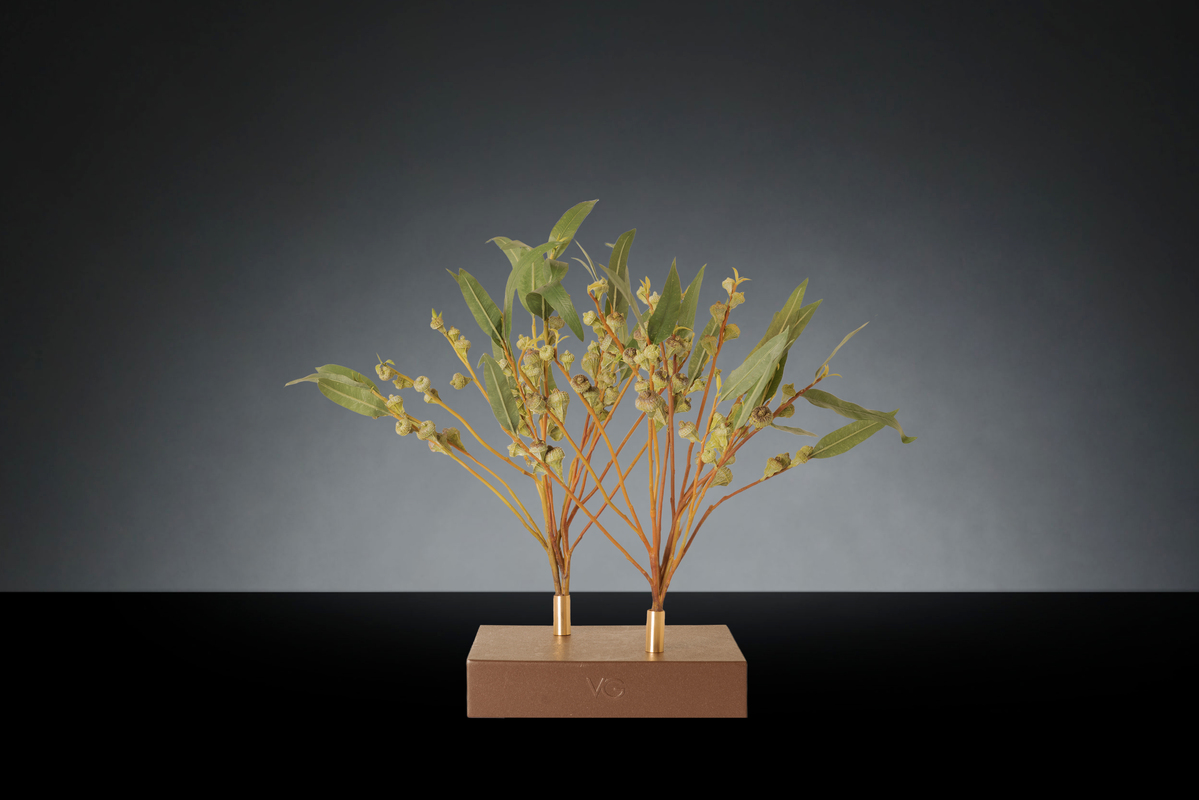 1700220458-1142924.37 EUCALYPTUS TREE X 2_2LOW